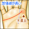 感情線が長い