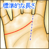 感情線が標準的な長さ