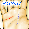 感情線が短い