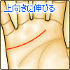 感情線が上向きに伸びる
