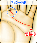 スポーツ線
