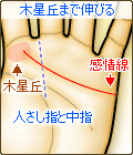 木星丘まで伸びる感情線