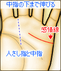 感情線が中指の下あたりまで伸びる