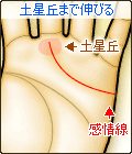 土星丘まで伸びる感情線