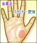 金星丘