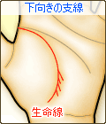 生命線から下向きの支線