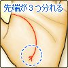 3つに分れる