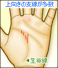 生命線から伸びる支線が多数ある