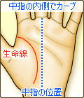 生命線が中指の位置より内側でカーブする