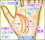 生命線のカーブの位置
