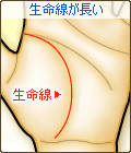 生命線が長い