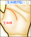 生命線が短い