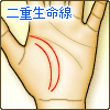 二重生命線