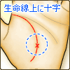 生命線上に十字星がある