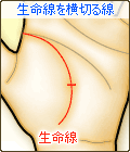 生命線上に横切る線