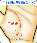 生命線の先端にストップ