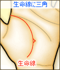 生命線上に三角(トライアングル)がある