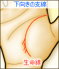 生命線から下向きの支線