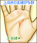生命線から伸びる支線が多数ある