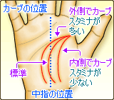 生命線のカーブの位置