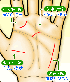 ソロモン環、神秘十字、直感線、スタミナ線