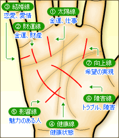 重要な線