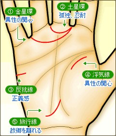 金星環、土星環、反抗線、情愛線、旅行線