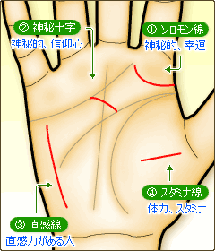 ソロモン環、神秘十字、直感線、スタミナ線