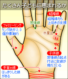 数 の 手相 子供