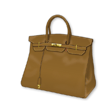 birkin30