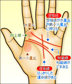 独立して運を切り開く