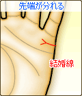 結婚線の先端が分れる