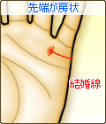 結婚線の先端が房状