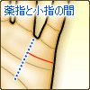 薬指と小指の間