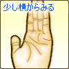 少し横からみる