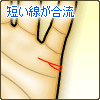 長い結婚線に短い線が合流する