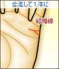 結婚線が合流して1つの線になる