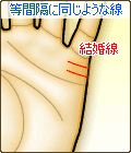等間隔に同じような結婚線が2本ある