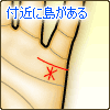 結婚線上や付近に星(スター)がある