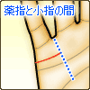 薬指と小指の間