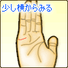 少し横からみる