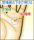 感情線の下まで伸びる結婚線