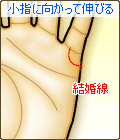 結婚線が小指に向って伸びる