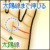 太陽線まで伸びる結婚線