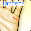 ɐLт錋