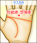 マスカケ