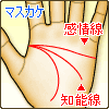}XJP