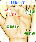 神秘十字
