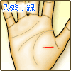 スタミナ線