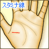 スタミナ線